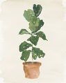 Image Not Available